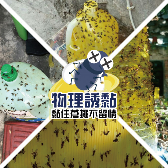 蒼蠅物理誘黏劑600ml