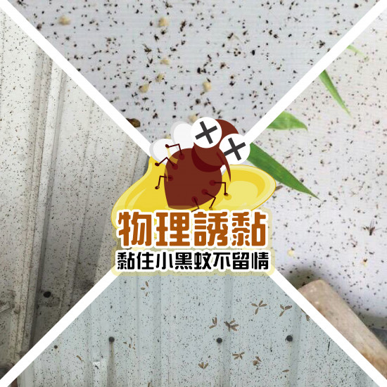 小黑蚊物理誘黏劑600ml