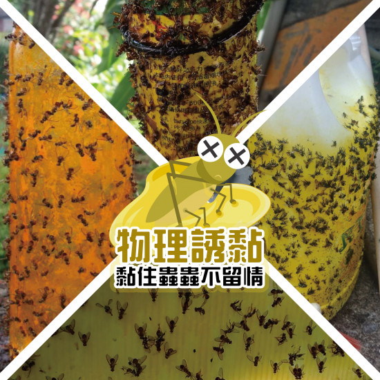 昆蟲物理誘黏劑600ml