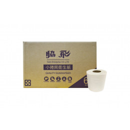 小捲筒衛生紙 (100g)-AB漿